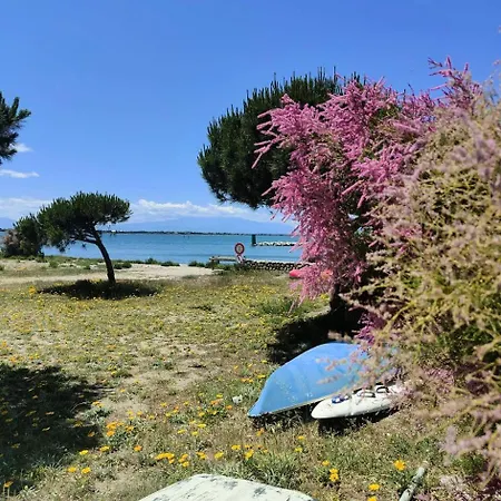 Apartment Antigua - T2 Climatise Avec Wifi Mae-8121 Le Barcares